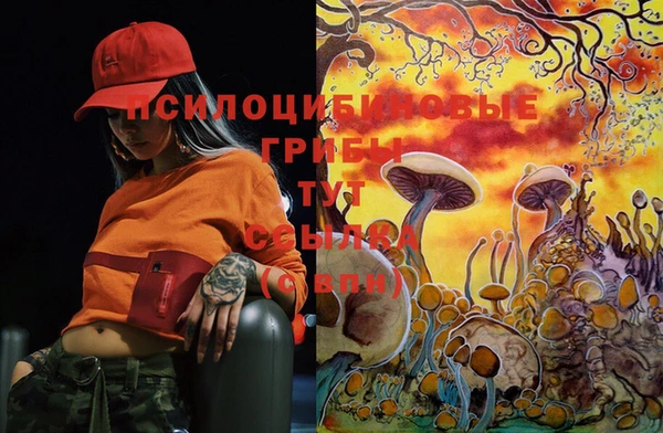 ГАЛЛЮЦИНОГЕННЫЕ ГРИБЫ Навашино